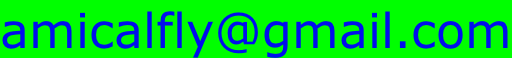 amicalfly@gmail.com